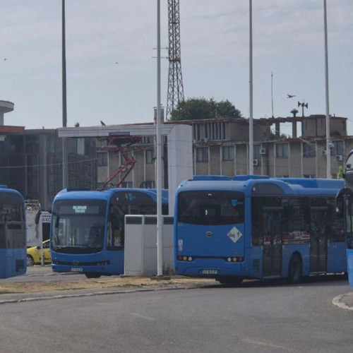 Greve la CT Bus: transportul în comun va fi suspendat între orele 7.30 și 9.30