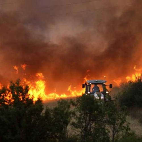 Bulgaria combate un val de incendii de vegetație în condiții de caniculă record
