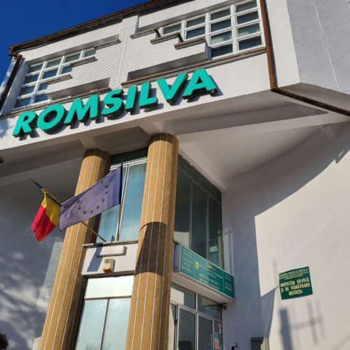 Schimbări majore în conducerea Romsilva pentru reducerea costurilor