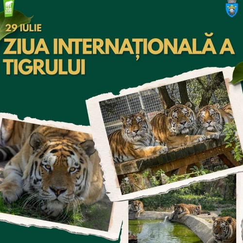Ziua internațională a tigrului, sărbătorită la Zoo Brașov