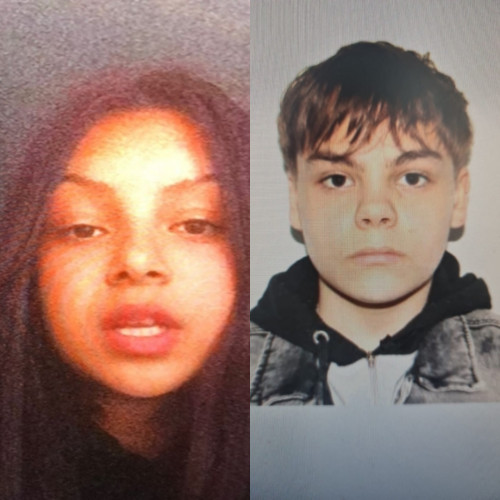 Doi copii de 14 ani dispăruți în Neamț, căutați de autorități