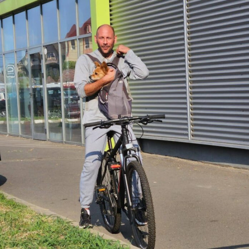 campanie de sterilizare și microcipare gratuita pentru câini în București