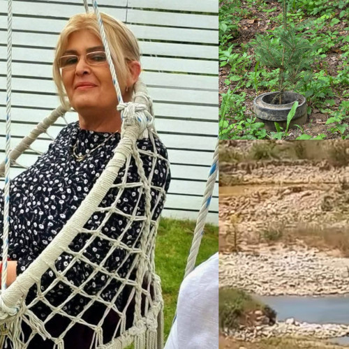 poluare suspectată pe râul sohodol din judetul gorj