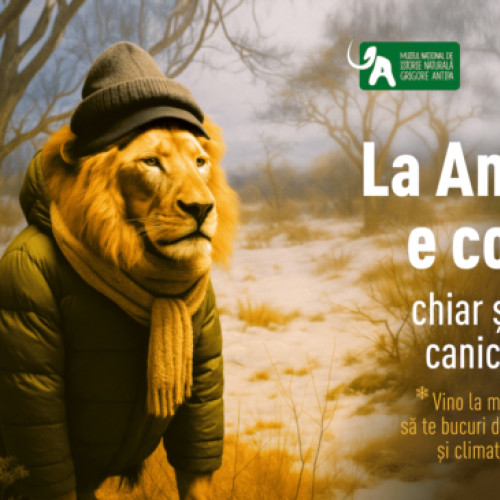 Muzeul Antipa, refugiu răcoros în timpul verii toride