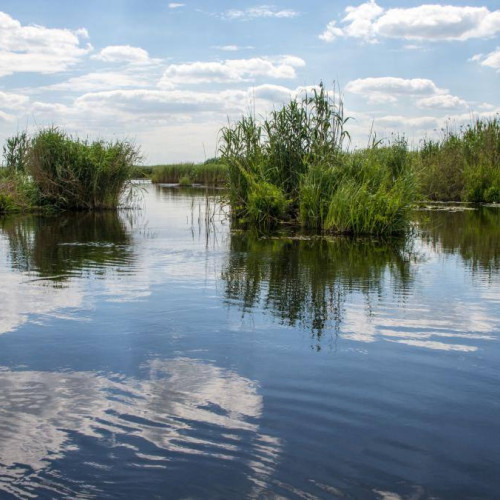 Accident în Delta Dunării: ambarcațiune răsturnată în Golful Musura