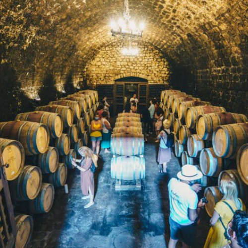 Producția mondială de vinuri: Italia și Franța domină piața, în timp ce România se confruntă cu provocări internoare