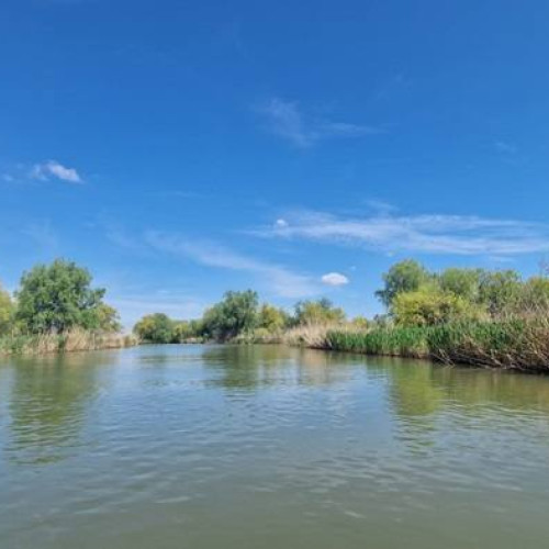 Patru persoane, printre care și un copil, au decedat într-un accident naval în Delta Dunării