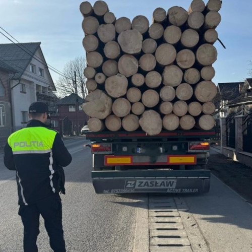 Polițiștii din Viseu de Sus au verificat 20 de autovehicule în domeniul silvic