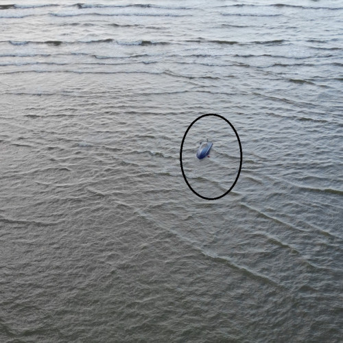 Tragedie în zona Golfului Musura: patru persoane și-au pierdut viața după ce ambarcațiunea s-a răsturnat