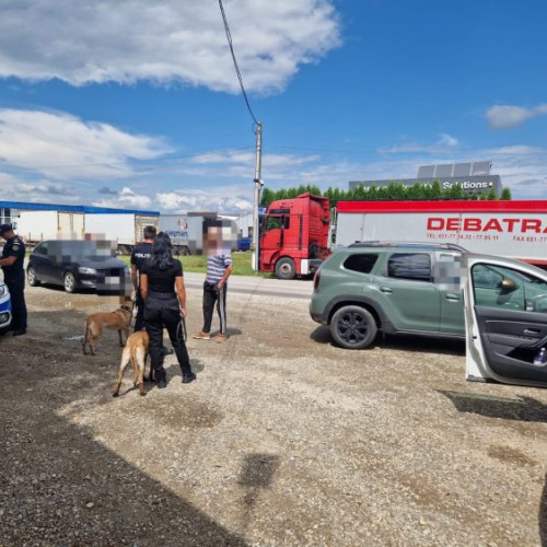 eveniment de amploare în sighetu marmației: Poliția a desfășurat o nouă acțiune de control pe drumurile publice