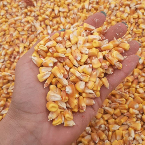 Consiliul județean Ialomița a stabilit prețurile medii ale produselor agricole pentru 2025