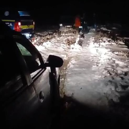 Dosar penal pentru braconaj și ucidere din culpă în Vrancea