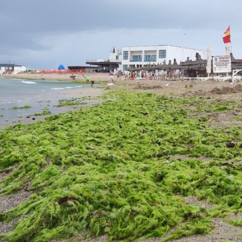 Resturi aduse de furtună pe plaja din Constanța