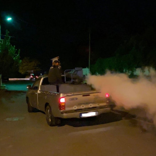 Campanie de dezinsectie pentru combaterea dăunătorilor în Medgidia