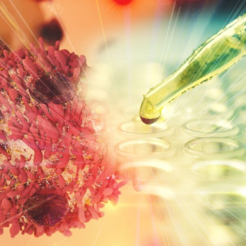 O strategie promițătoare pentru combaterea cancerelor agresive, bazată pe inhibarea unui proces celular puțin studiat, a fost propusă de o echipă de cercetători australieni. Cercetătorii de la Walter and Eliza Hall Institute (WEHI) au descoperit că blocarea procesului de "splicing minor" poate încetini creșterea tumorilor în cancerul hepatic, pulmonar și gastric, arată un studiu recent publicat în revista EMBO Reports.