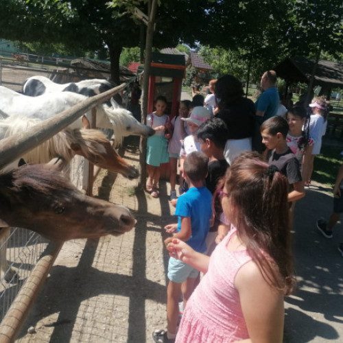 Centrul de Zi de pe Calea Clujului, un spațiu plin de energie și în această vară