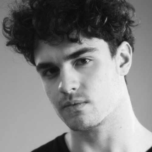 Vlad Paulet, un tânăr fotograf de natură din România, a atras din nou atenția pe scena internațională. La concursul Milvus Photocontest 2025, una dintre cele mai importante competiții de fotografie de natură din lume, imaginea sa intitulată „The Pair” a fost selectată printre finaliste la categoria „Natura”, din sute de poze înscrise din diferite țări.