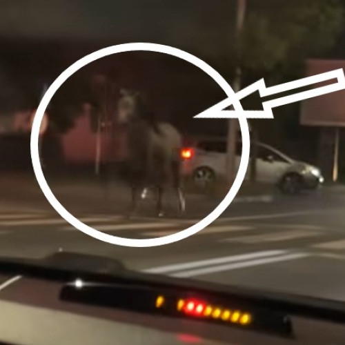 Focsaniul, în drumul spre un stil de oraș inspirat din filmele western