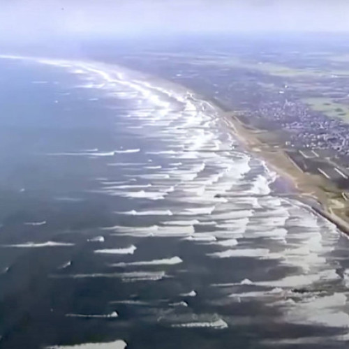 Patru balene au esuat pe coastele din Japan, în timp ce autoritățile emiseseră o alertă de tsunami, după un cutremur cu magnitudinea de 8,8 grade pe scara Richter produs în Extremul Orient rus. Camerele de filmat au surprins cel puțin patru animale marine la Tateyama, în prefectura Chiba. Momentan, nu se poate stabili cu certitudine dacă aceste balene au fost atrase de seism, însă imaginile au circulat pe televiziunile japoneze și pe rețelele sociale, notează digi24.ro.