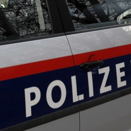 Bărbat din Botoșani deportat în Austria pentru fraude