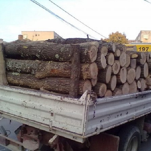 conservarea ilegală de lemn confiscată de polițiștii din Neamț în localitatea Savinești