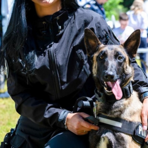 ziua prieteniei, celebrată de polițiști și câini de serviciu în maramureș