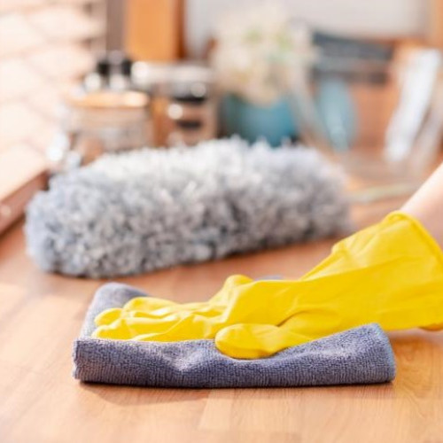 Legea 111/2022 reglementează activitatea prestatorului casnic în România