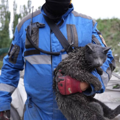 Atac cu rachete și drone rusești asupra Kievului provoacă victime și distrugeri