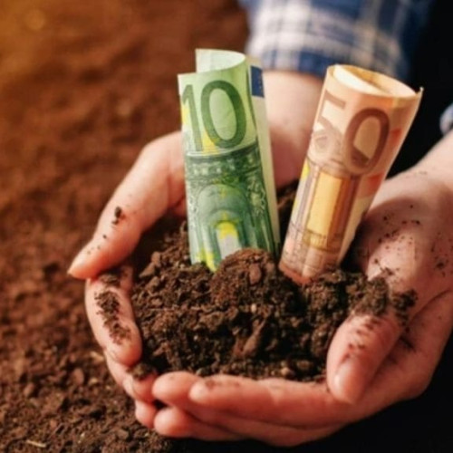 Plata APIA pe hectar va varia între 130 și 240 de euro începând cu 2028