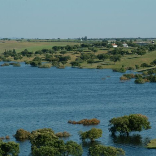 Riscuri ridicate în județul Argeș din cauza revărsărilor