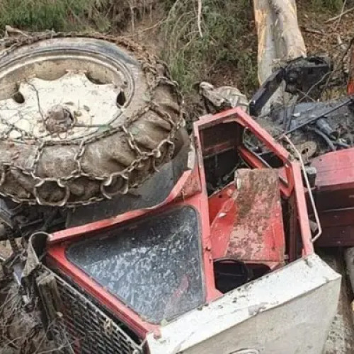 Accident fatal în pădurea din comuna Mosoaia