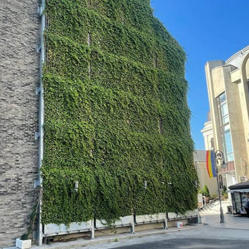 Universitatea de Medicina și Farmacie "Grigore T. Popa" din Iași a finalizat modernizarea Policlinicii de stomatologie pediatrică