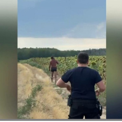 Bărbat de 64 de ani ucis cu toporul în Mehedinți