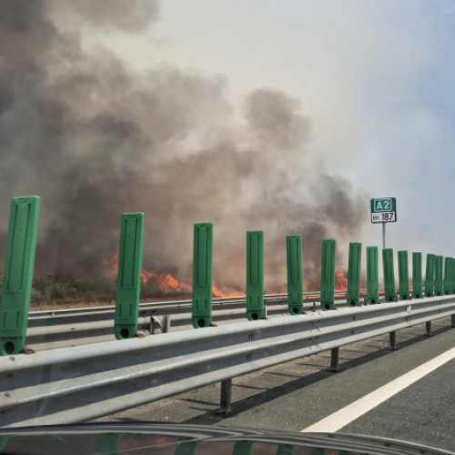 Incendiu de vegetație aproape de autostrada A2 în județul Constanța
