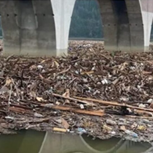 Pericol biologic în apele din Neamț după viitură