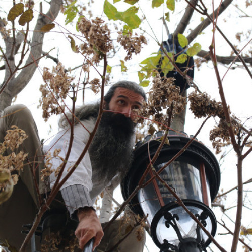 activistul cunoscut ca Stegarul Dac escaladează gardul penitenciarului București-Rahova și urcă într-un copac