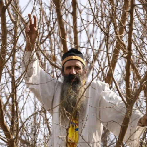 Cezar Avramuta, cunoscut ca Stegarul Dac, a escaladat un copac în incinta penitenciarului Rahova