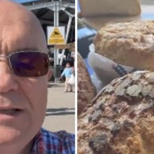 Emil Boc, fostul primar al Clujului, și-a schimbat radical programul după plecarea din funcție, concentrându-se pe un nou proiect care i-a surprins plăcut pe localnici. Potrivit stiridecluj.ro, acesta invită locuitorii orașului să petreacă vreme în fiecare sâmbătă în Piața Oser, un loc despre care vorbește cu mare entuziasm.