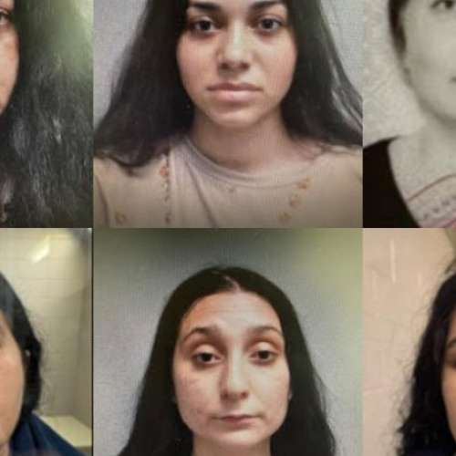 șase femei române, acuzate de furt, arestate în Massachusetts