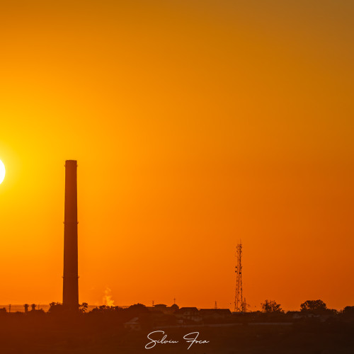 Imagini spectaculoase surprinse la Botoșani cu caprioare
