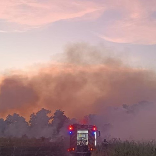 Incendiul de vegetație din Medgidia a fost stins după câteva ore de intervenție