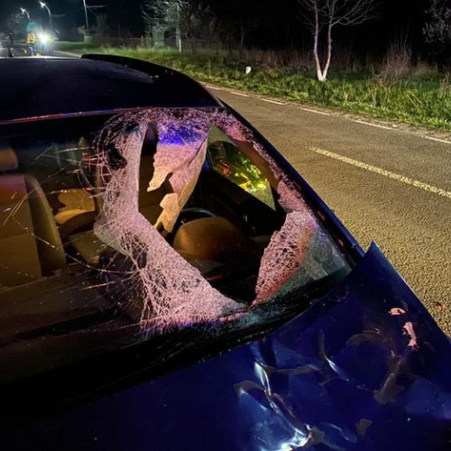 accident mortal în zona localității Copalau