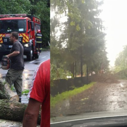 Hormoni de instabilitate atmosferică în vestul țării