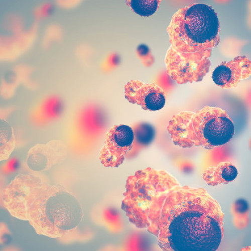 Cercetare arată că imbatranirea corpului uman accelerează după vârsta de 50 de ani