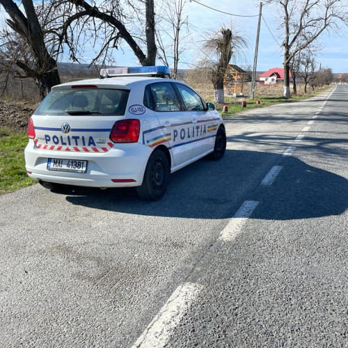 Șofer care a refuzat să oprească și a fugit de poliție în Teleorman