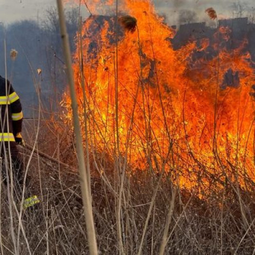 Incendiu de vegetație în apropierea Rezervației Delta Văcărești