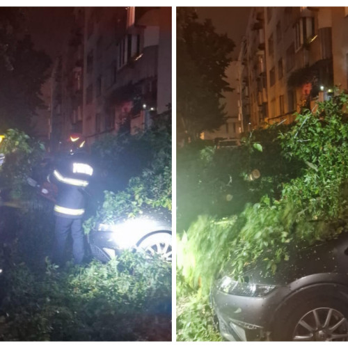 Vijelia a provocat pagube în Cluj-Napoca, trei mașini distruse de un copac în cartierul Grigorescu