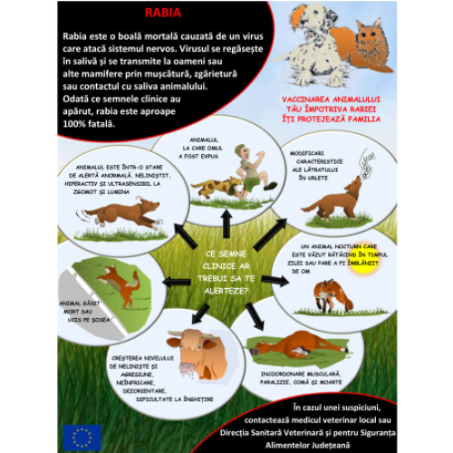Rabia, boala mortală adesea numită "turbare" sau "nebunie", reprezintă o infecție gravă cauzată de virusul rabic, ce afectează sistemul nervos central atât la animale, cât și la oameni. Potrivit crisana.ro, în mod global, rabia provoacă zeci de mii de decese în fiecare an. Odată ce apar simptomele vizibile, boala devine aproape întotdeauna fatală, deoarece nu există tratament specific pentru vindecare.