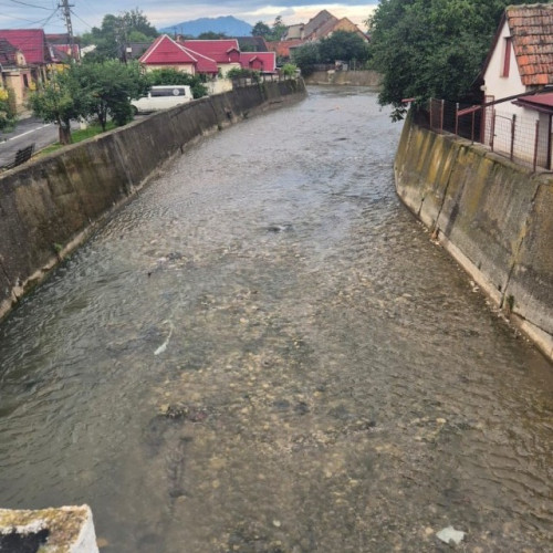 Curățarea completă a râului Ghimbasel, în Ghimbav