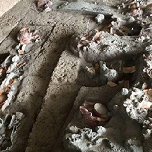 Cele mai vechi urme de utilizare a nucilor de betel, descoperite în Thailanda, indică o practică practică de acum 4.000 de ani